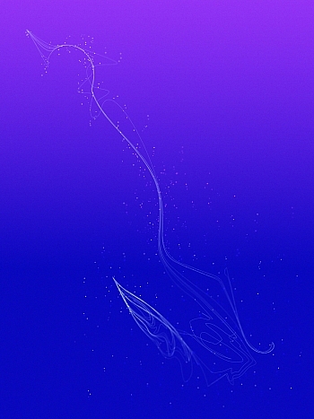 Nemichthyidae