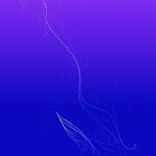 Nemichthyidae-900x1200 Nemichthyidae