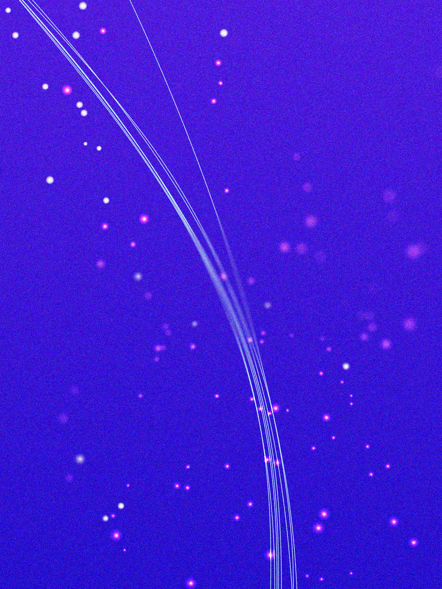 Nemichthyidae-900x1200-zm-3 Nemichthyidae